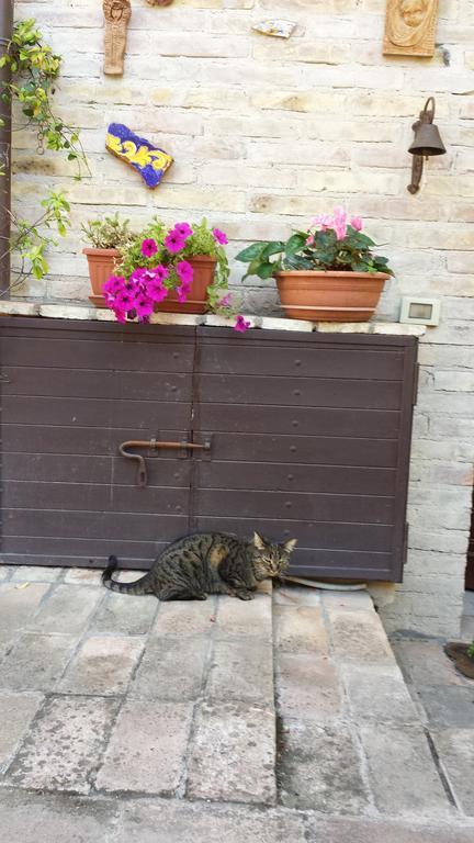 B&B La Casuccia Di Assisi Buitenkant foto