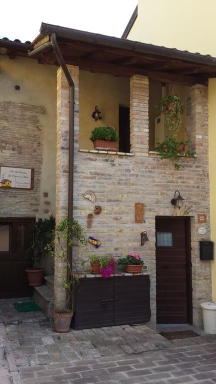 B&B La Casuccia Di Assisi Buitenkant foto